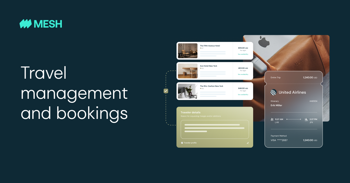 screenshot of Mesh Payments